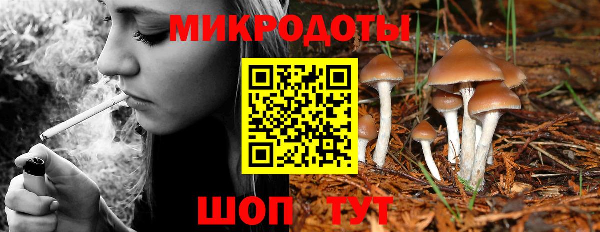 Галлюциногенные грибы Psilocybe Тула