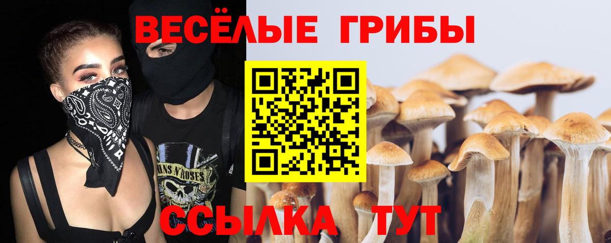 Тула  Псилоцибиновые грибы Psilocybe  Вход с VPN 